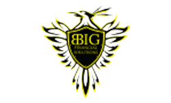 BBig Financial Solutions