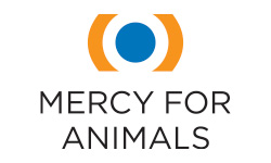 Mercy For Animals